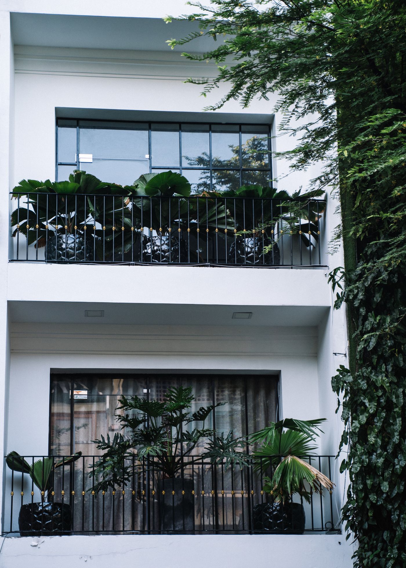 balkon tasarımı örneğinde yeşil bitkilerle zenginleştirilmiş cephe