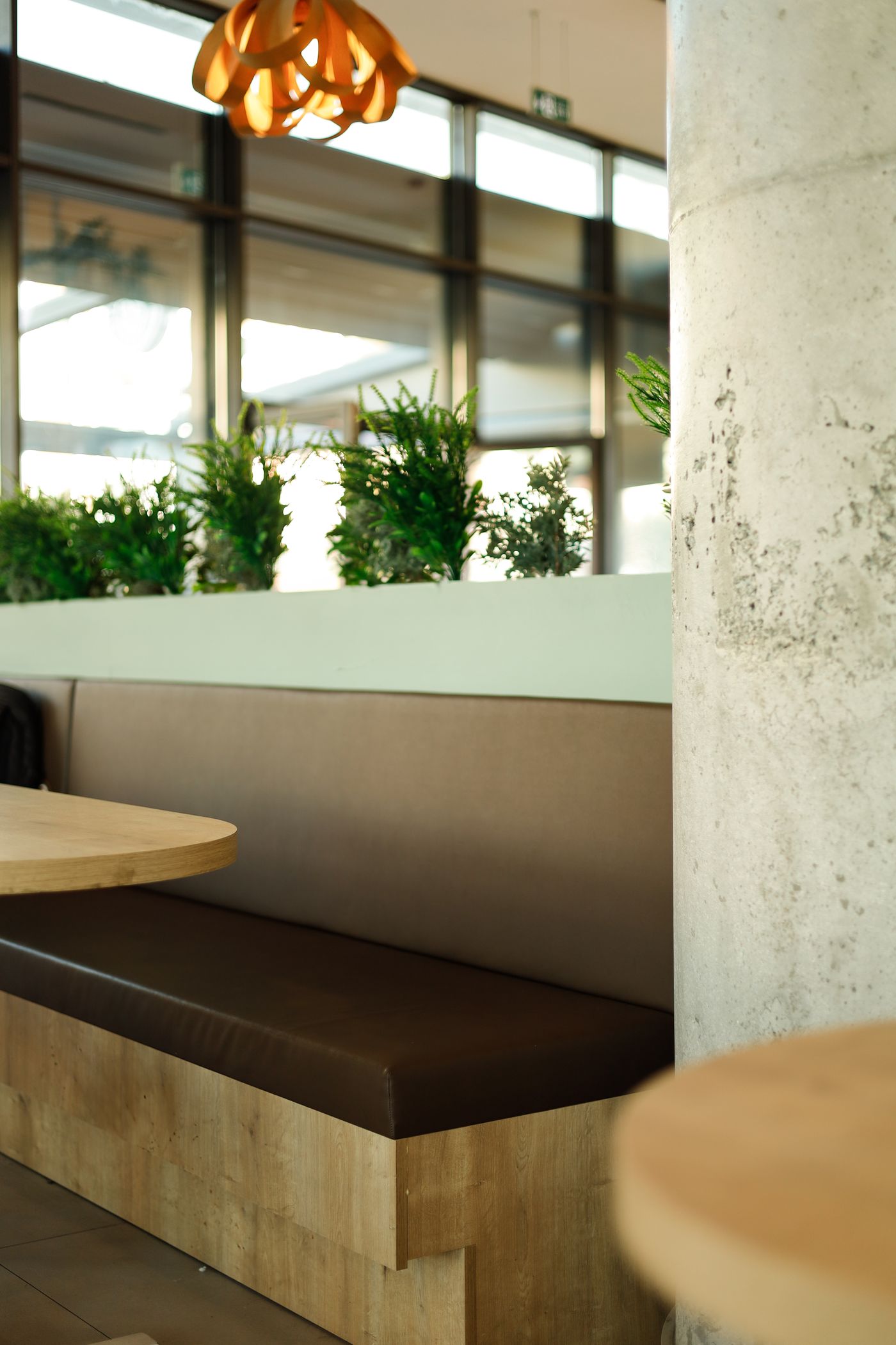 kafe tasarımı iç mimari - beton kolon ve doğal bitki dokusu